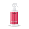 Spray Aminomix Spa dos Lisos 250ml